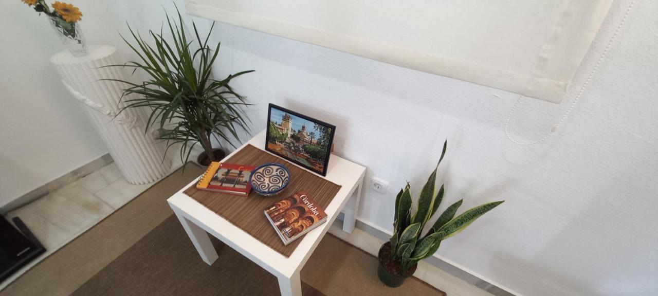 Apartamento Patio Azul Διαμέρισμα Κόρδοβα Εξωτερικό φωτογραφία